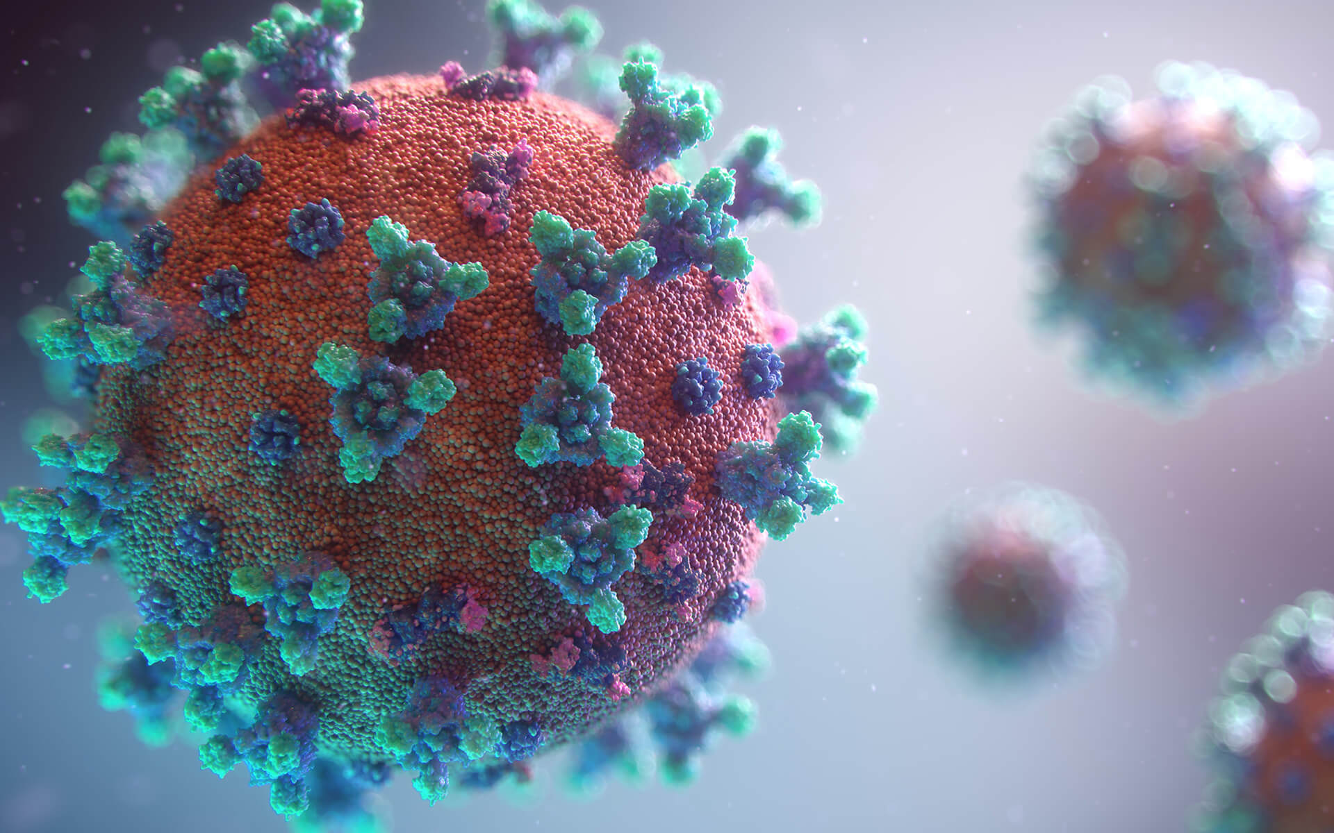 Coronavirus Covid-19 Infected Patient