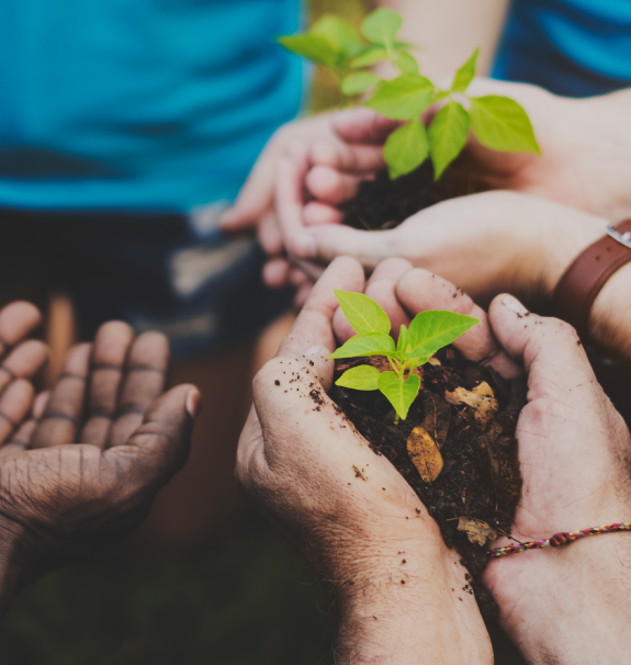 Social Responsibility